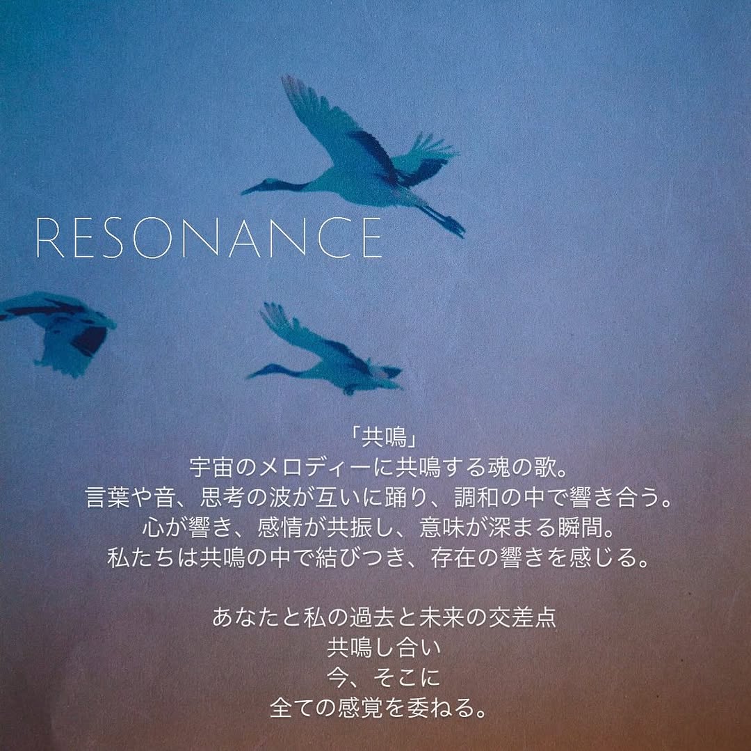 空を舞う鳥とResonanceのメッセージ